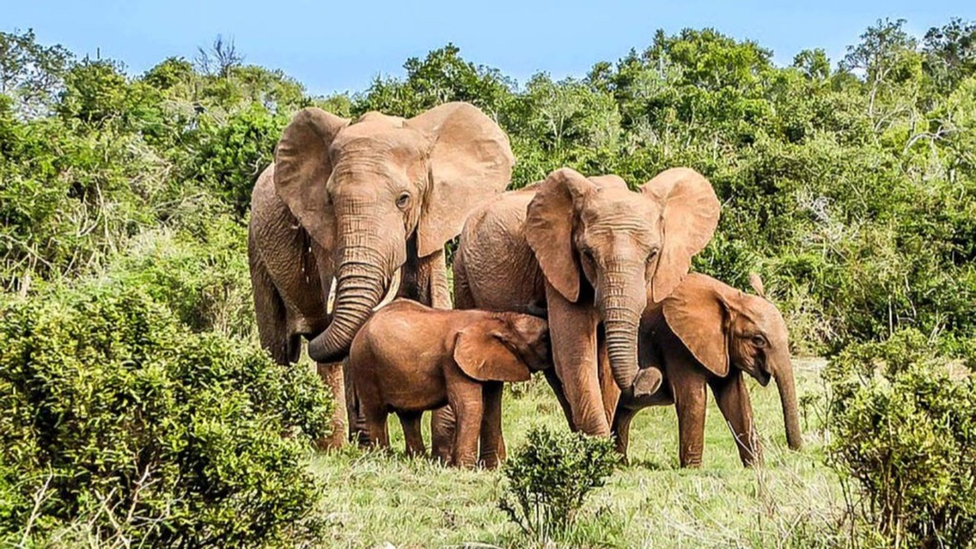 Côte d’Ivoire : l’ambition renouvelée du tourisme comme moteur de croissance   