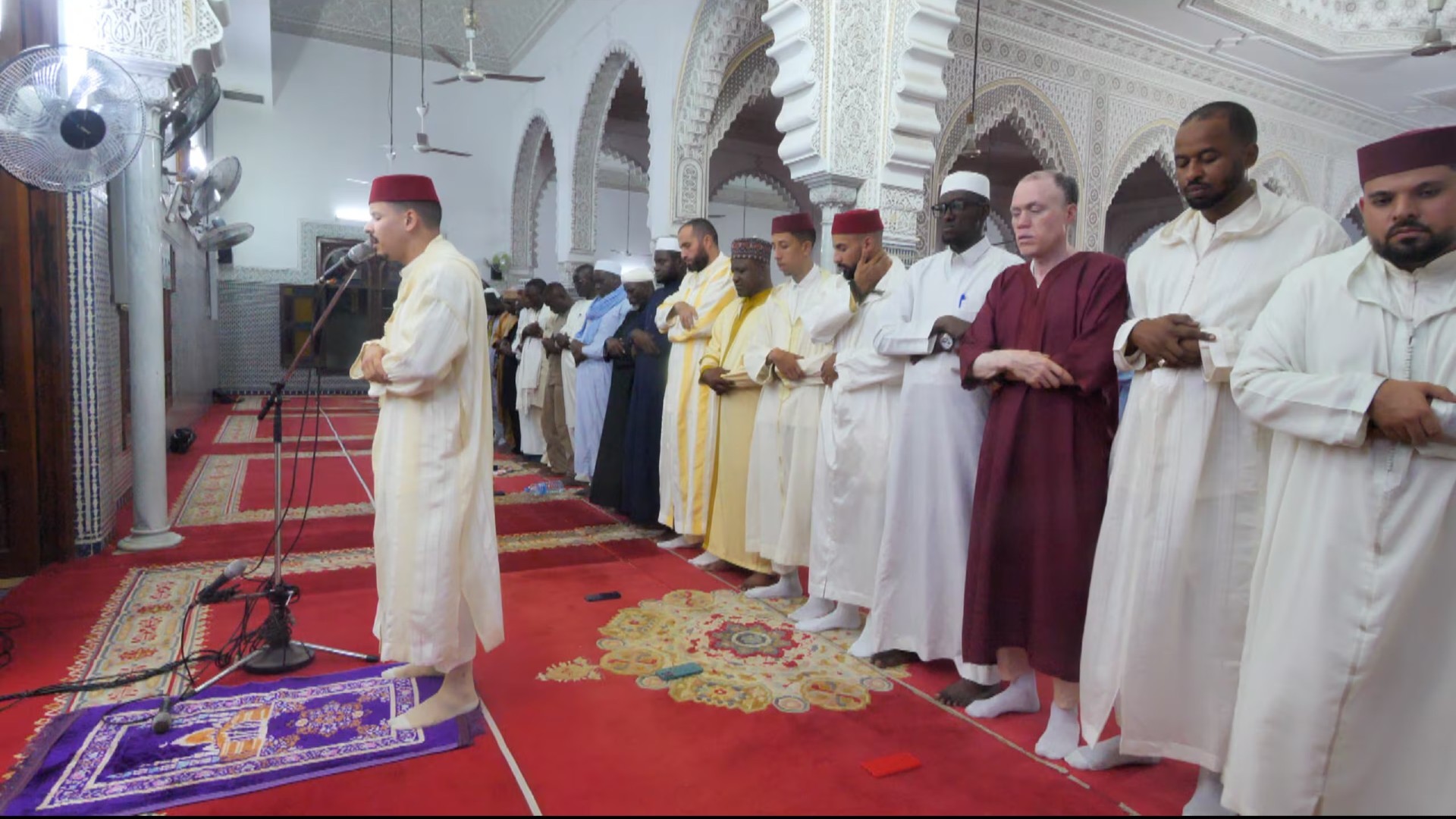 Mawlid : la zaouïa Tijania de Fès dans le sillon de la diversité et de la fidélité historique