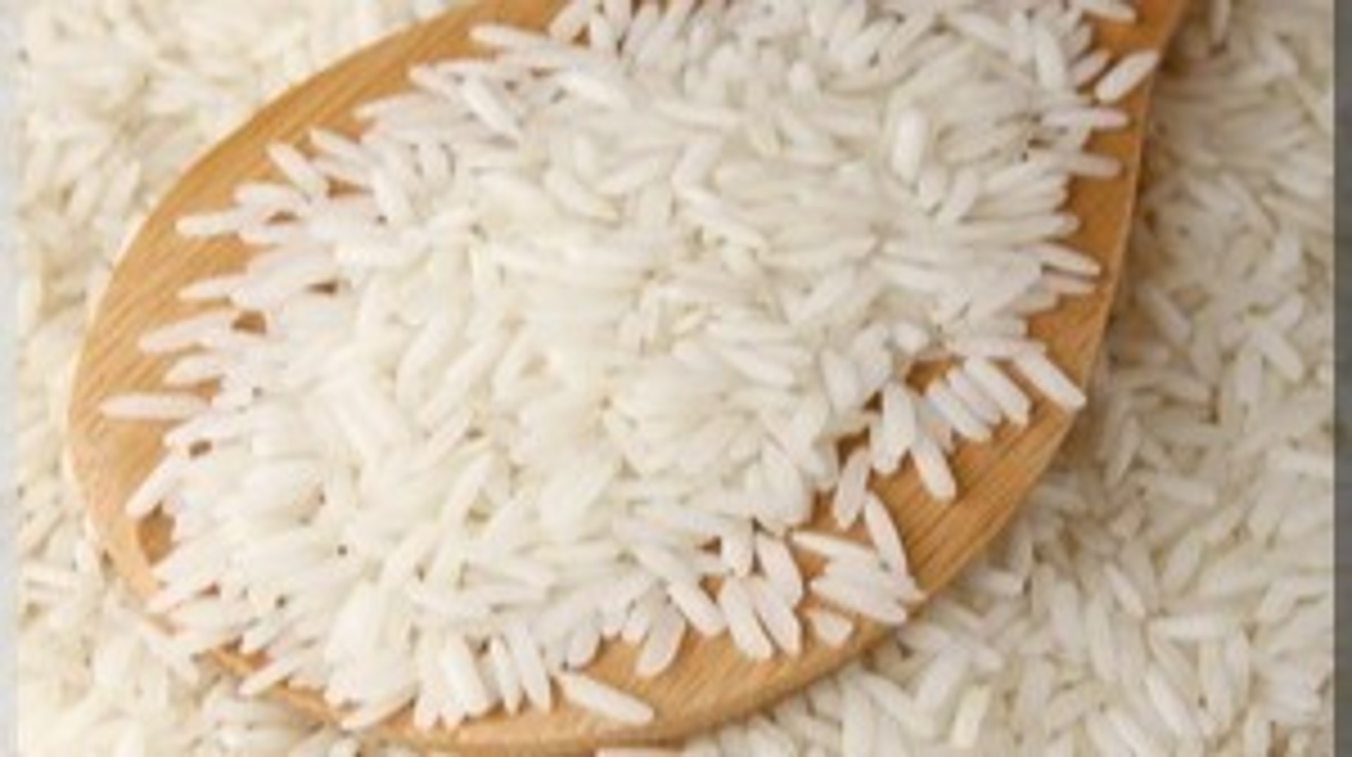 Mauritanie : le riz, enjeu de souveraineté et pari d'une stratégie décennale