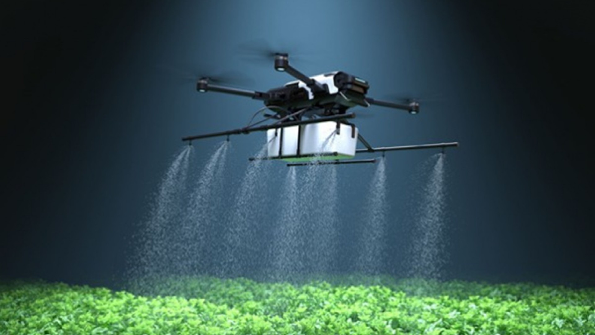 Togo : un complexe Agri-Tech prévu d’ici fin 2026