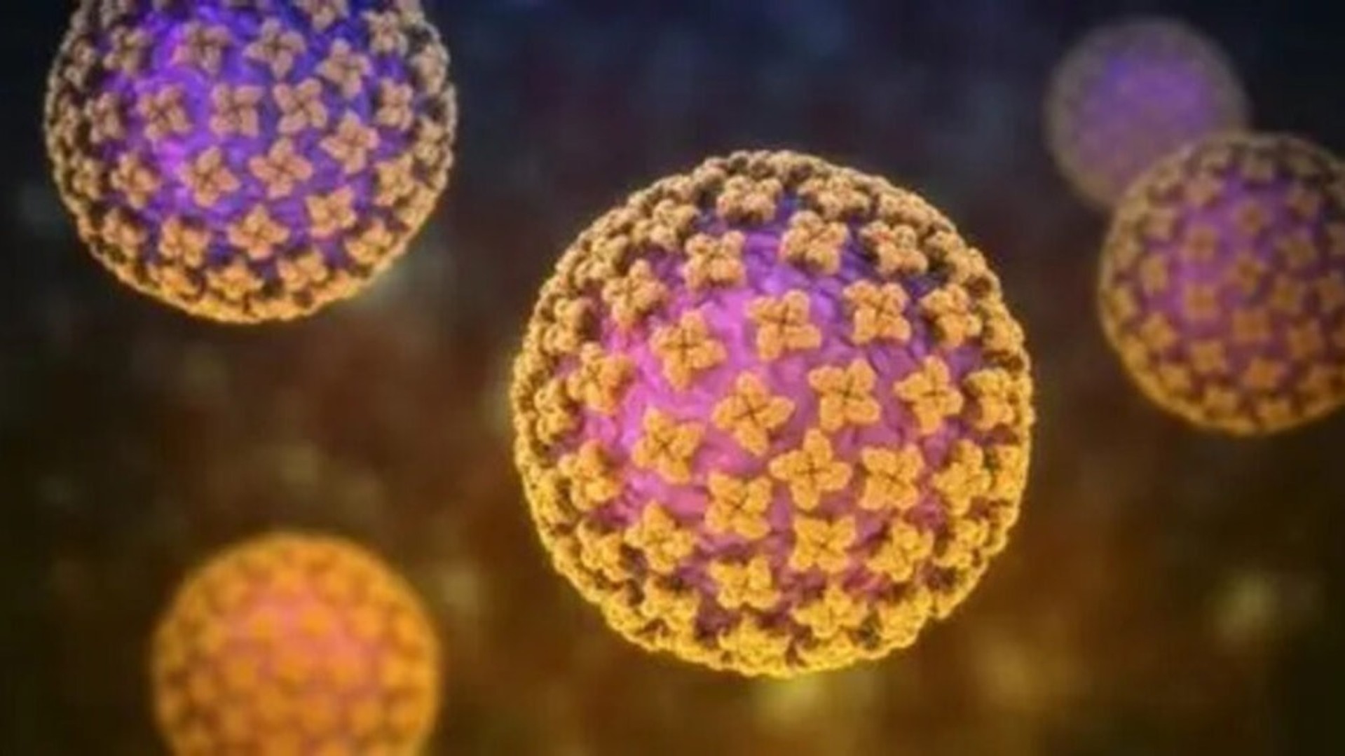 Hantavirus : le CDC Afrique sur ses gardes