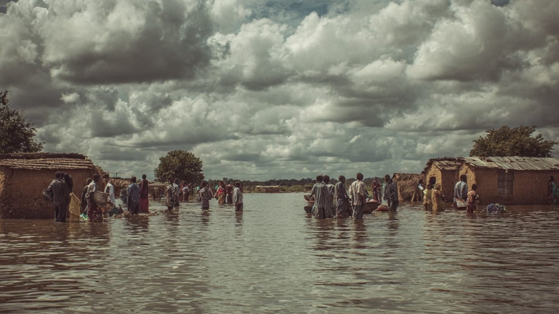 Dérèglement climatique : l'Afrique plus que jamais en état d'urgence