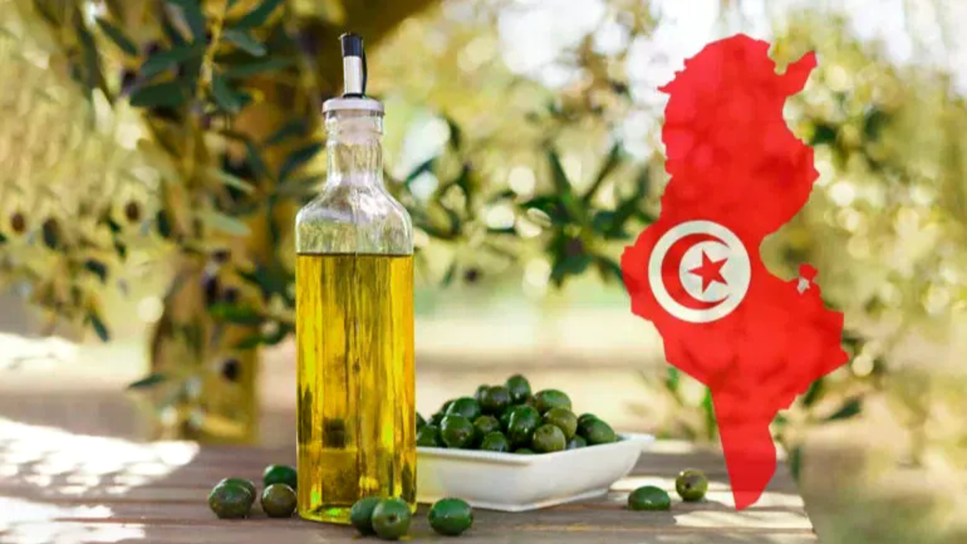 Huile d’olive : forte hausse des exportations de la Tunisie