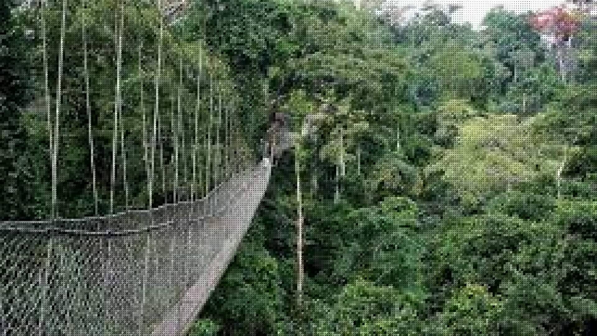Réserves forestières : le Ghana y interdit l'exploitation minière