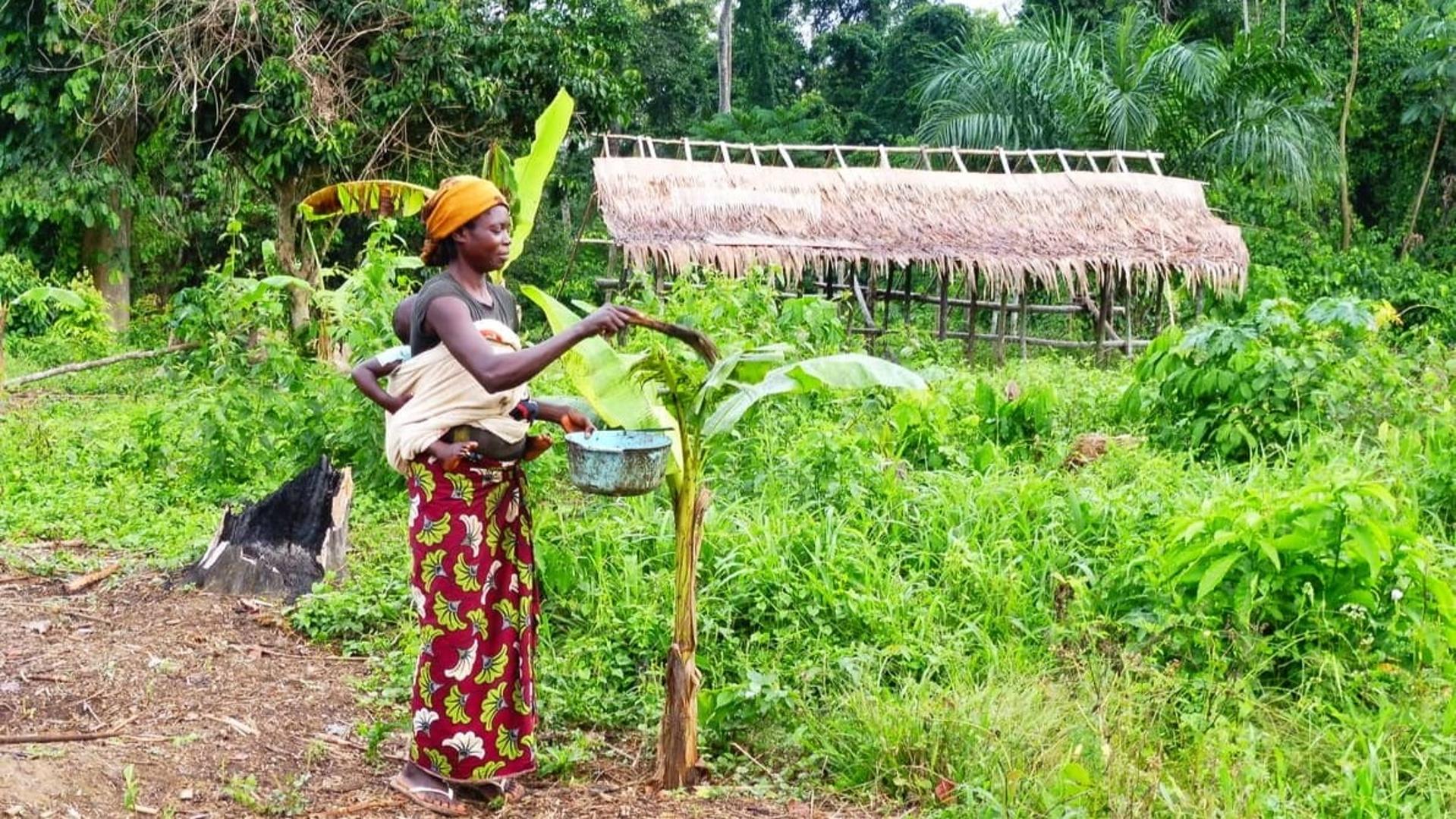 Parcs, réserves, sanctuaires : les peuples autochtones réclament leurs terres ancestrales 