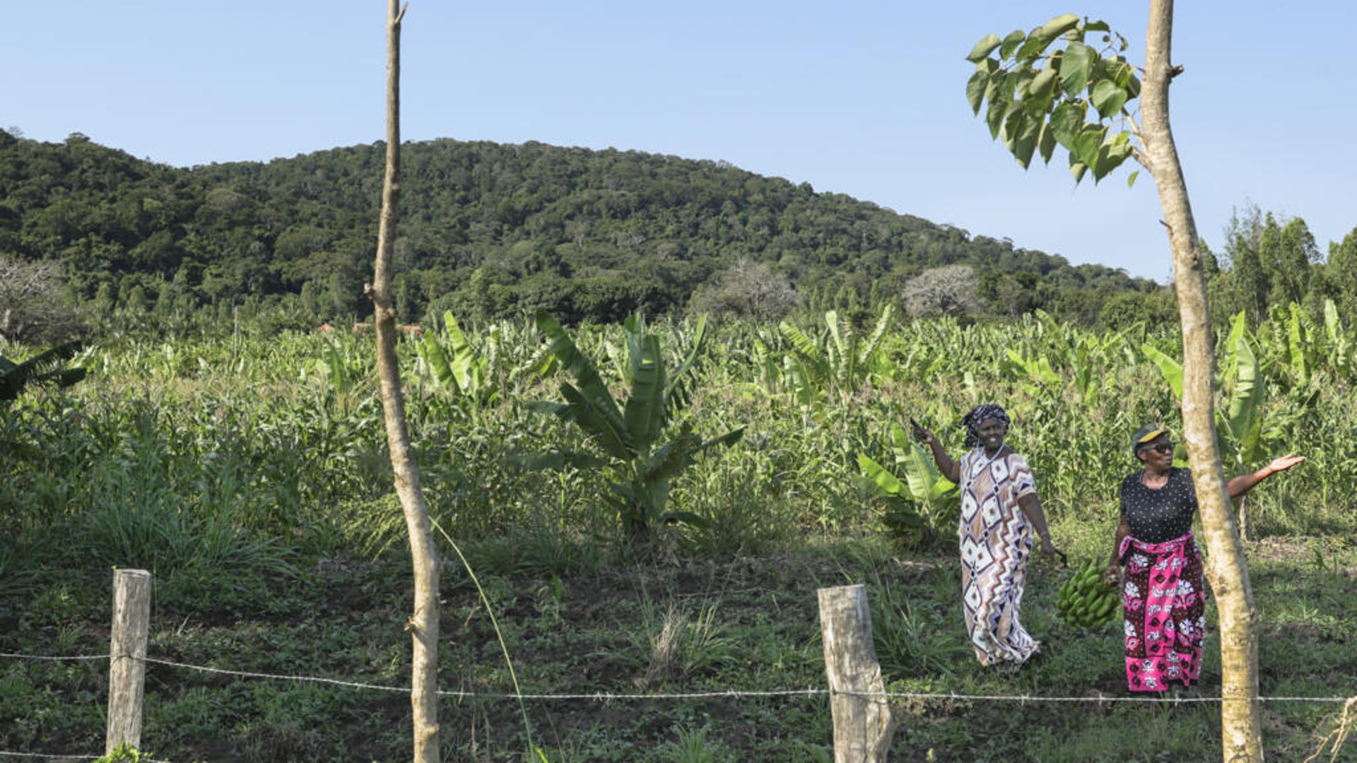Ce sont véritablement deux visions de la biodiversité et du rapport à la terre ancestrale qui se sont retrouvées face à face à Nairobi.&nbsp;