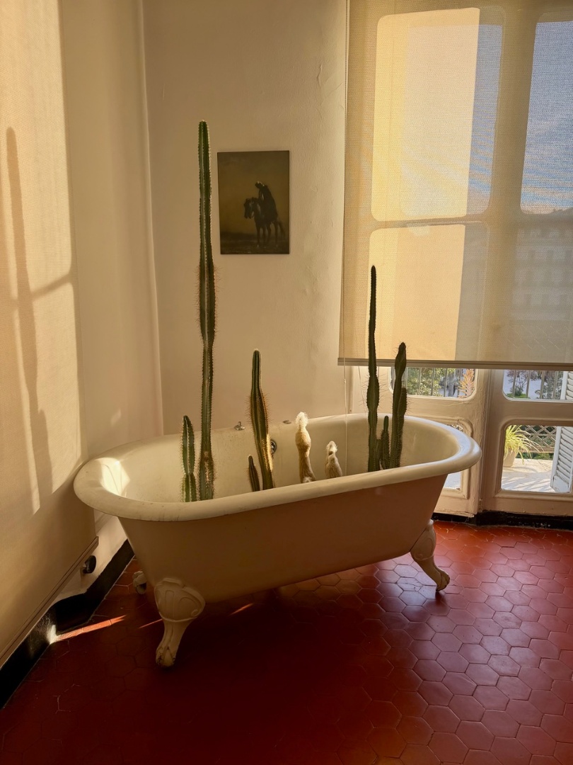 &nbsp;La baignoire dans le bureau de Samir Toumi qui a inspiré le nom du tiers-lieu - Bureau Baignoire @Samir Toumi