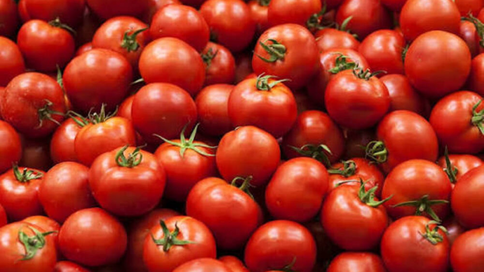 Exportation de tomates fraîches : le Burkina lève la suspension